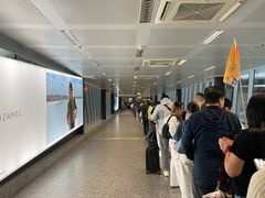 -米兰马尔彭萨国际机场