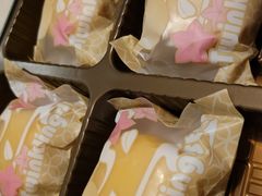 -宠物之家Pets Home 宠物寄养酒店
