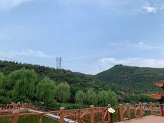 -五龙城郊森林公园