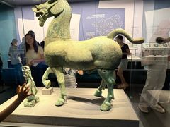 -广西壮族自治区博物馆