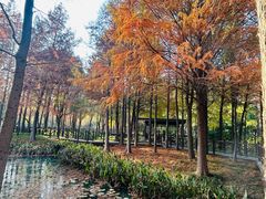 -尚贤河湿地
