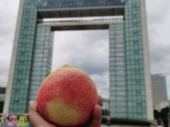 -幸福门