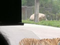 -西安秦岭野生动物园