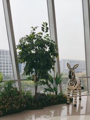 -IMON·HANSA潮玩玩偶毛绒玩具(通州万象汇店)