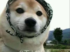 -王阿姨文昌油赞子(府桥街店)