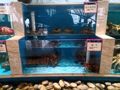 -福娣·金沙银贝海鲜火锅