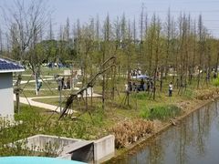 -上海长兴岛郊野公园