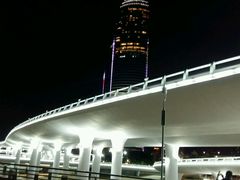 -演武大桥观景平台