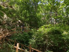 -大岭沟猕猴桃谷风景区