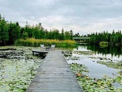 -白鹭湾湿地公园