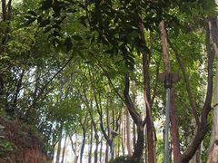 -福神岗公园