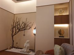 -OMSPA(盛景尚峰店)