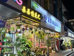 -溪岸路花鸟市场