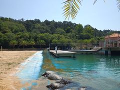 -广东惠东海龟国家级自然保护区