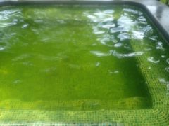 -广州都喜泰丽温泉度假酒店
