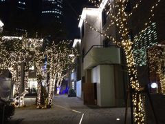 iphone_upload_pic-徐家汇源景区-衡山坊