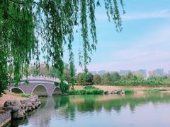 -大兴滨河森林公园