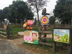 -田园东方蜜桃村的田野营地