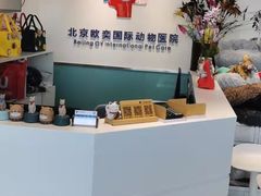 -欧奕国际动物医院