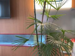 -姆们M Sweetie Cake(五道口店)
