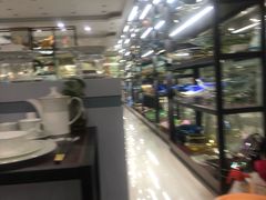-杭州陶瓷品市场·景青陶瓷有限公司