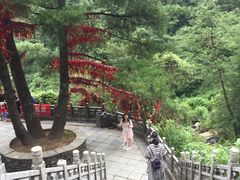 -苍山感通索道