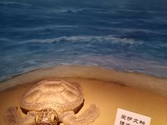 -嘉定博物馆