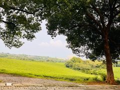 -敬亭山风景名胜区