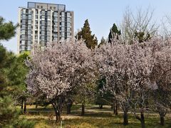 -银座和谐广场
