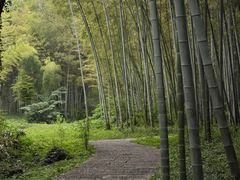 -采石矶景区