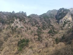 -朱雀国家森林公园
