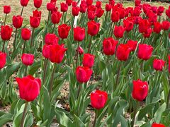 -玄武湖景区-情侣园游乐场