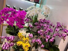 -EPOQUE·一刻花店(兴业太古汇店)