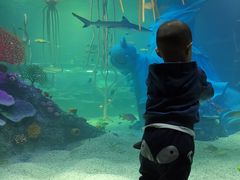 -沈阳海洋探索中心