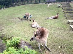-可伦宾野生动物保护区
