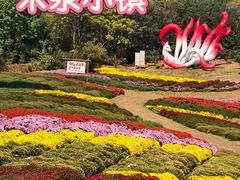 -安徽禾泉小镇