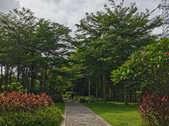 -福田红树林生态公园