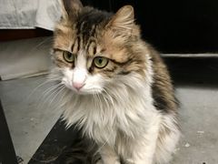 -有肉食·虎九闽菜(798艺术区店)