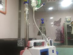 -天时宠物医院24小时疑难病例会诊中心(顾乡大街总院)