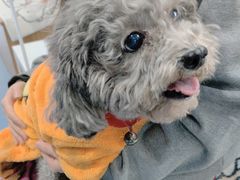 -瑞鹏宠物医院·爱宠堂·骨外专科(西荷分院)