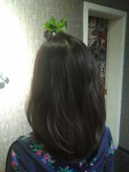 点击看大图 -HD HAIR STYLE