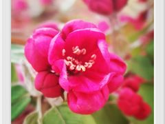 -国家植物园