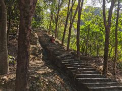 -风云岭森林公园