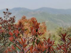 景点-缥缈峰景区