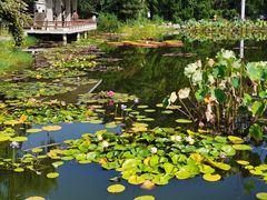 -国家植物园南园