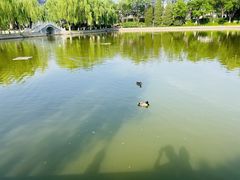 -中国农业博物馆