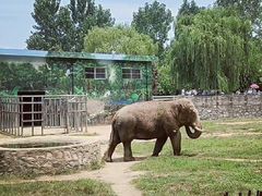 -西安秦岭野生动物园