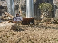 -武汉动物园