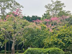 -晓港公园