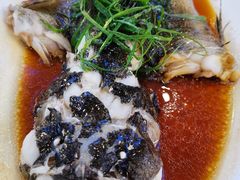 -竹溪百福酒家(同和店)
